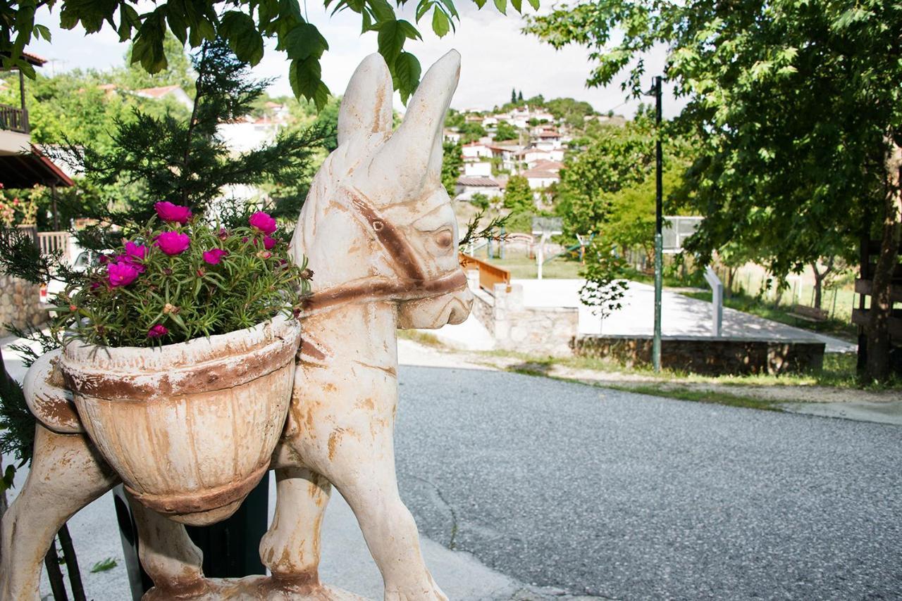 Mirmidones Anesis Apartman Agrelia Kültér fotó